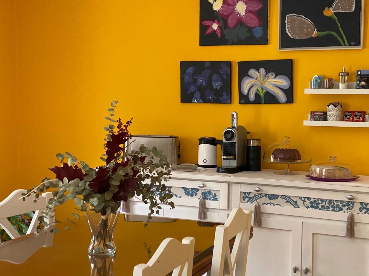 Apartamento La Biblioteca En Cuenca 쿠엥카 외부 사진