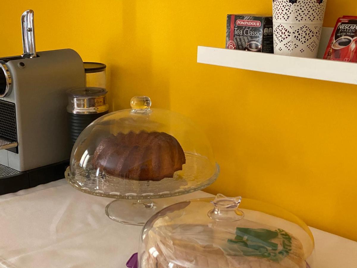 Apartamento La Biblioteca En Cuenca 쿠엥카 외부 사진